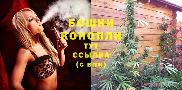 стаф Бородино