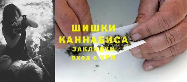 стаф Бородино