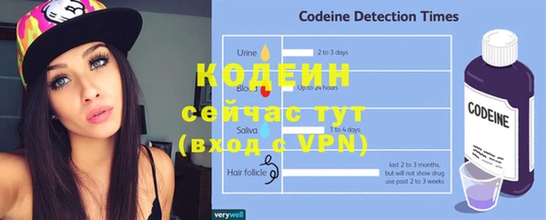 стаф Бородино