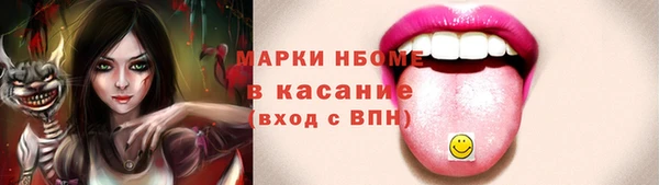 стаф Бородино