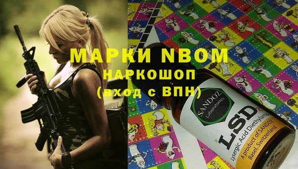 стаф Бородино