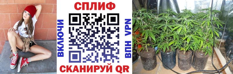 Конопля конопля  Купить закладки  Новая Ляля 